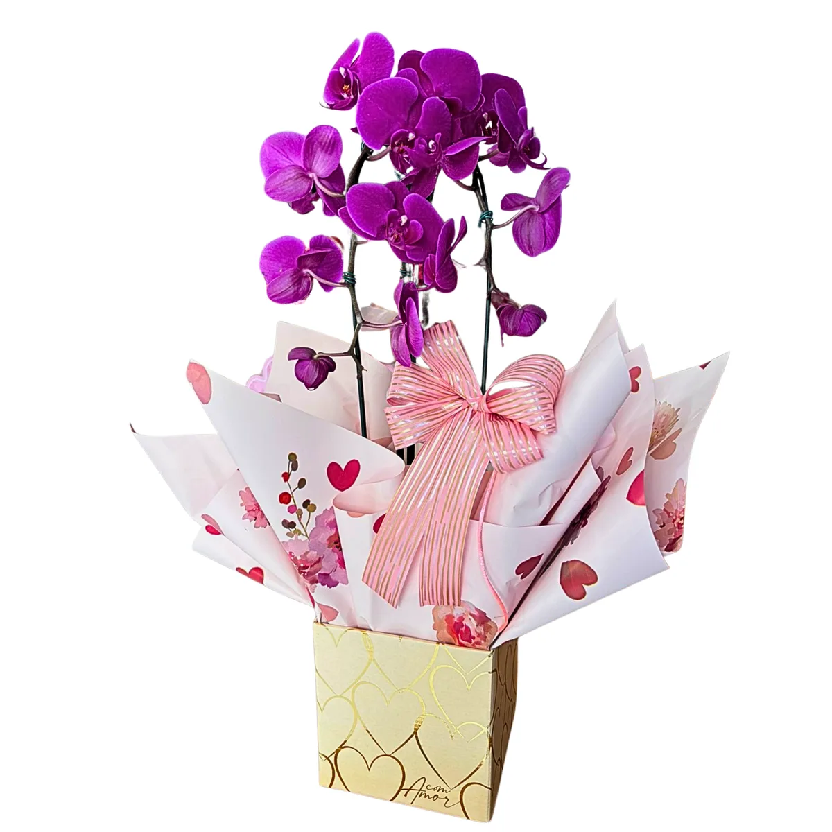 Orquídea Cascata no Cachepó