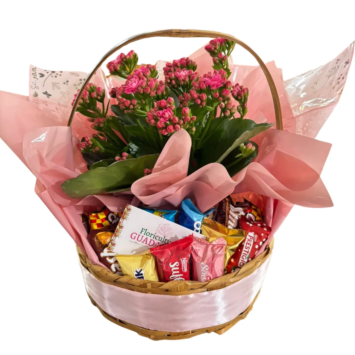 Mini Cesta de Chocolates com Kalanchoe